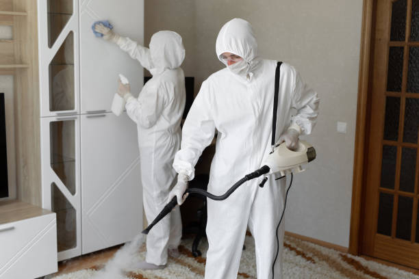 Best Residential Mold Remediation in Jeffersonville, IN